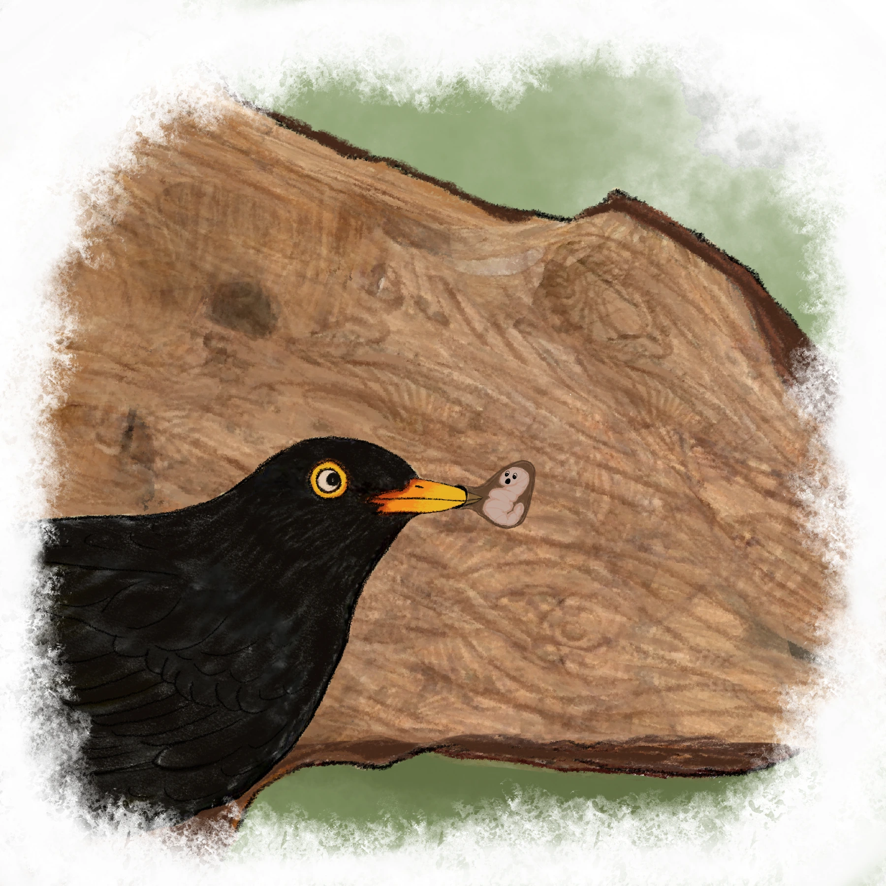Eine Amsel versucht, einen kleinen Holzwurm aus einem Stück Holz zu picken.
